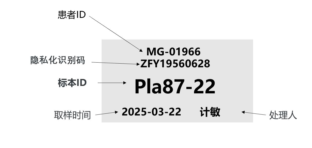 标签打印示范